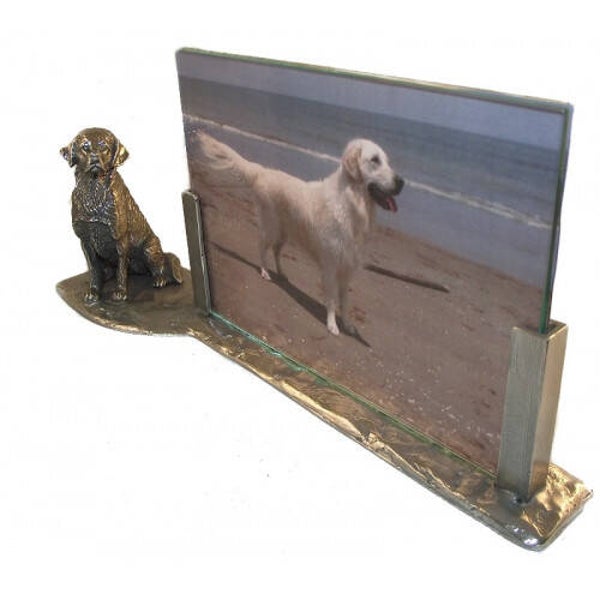 Fotolijst golden retriever