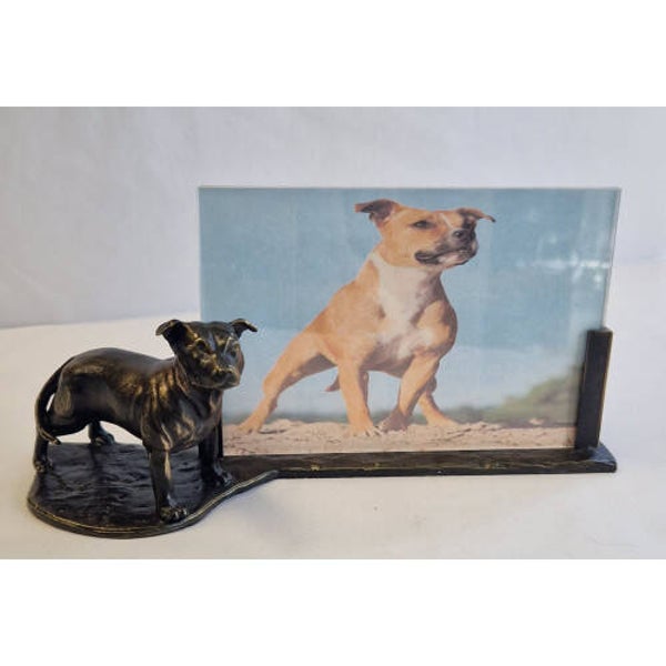 Fotolijst staffordshire bull terrier middel