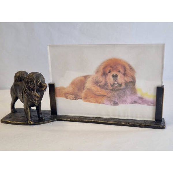 Fotolijst tibetaanse mastiff middel verbronsd