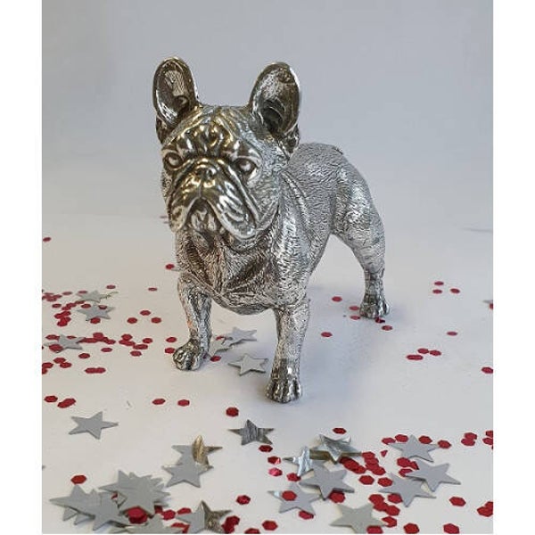 Franse bulldog groot