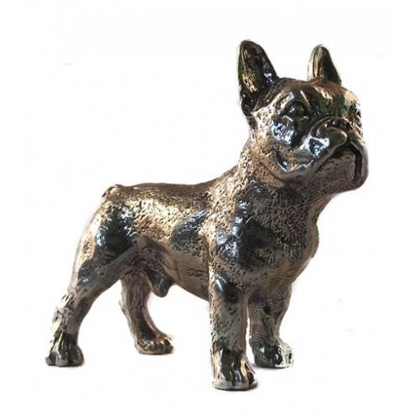 Franse bulldog reu groot