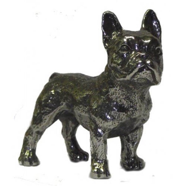 Franse bulldog teef groot