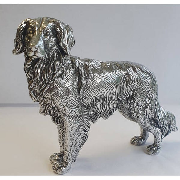 Kooikerhond groot zilvertin