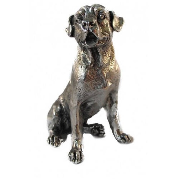 Rottweiler zittend