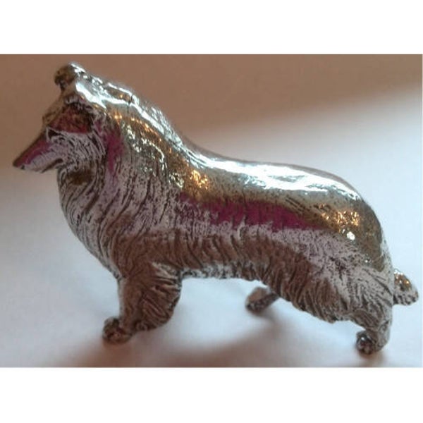 Schotse collie groot