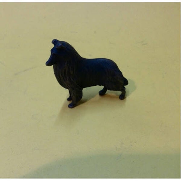 Schotse collie klein verbronsd