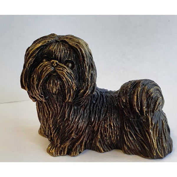 Shih tzu groot verbronsd