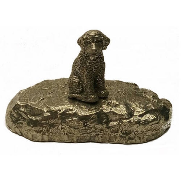 Urn Portugese waterhond