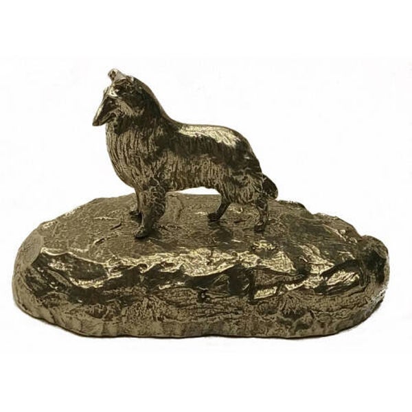 Urn Schotse Collie