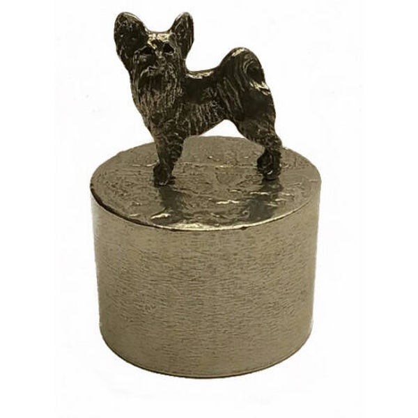 Urn Vlinderhondje