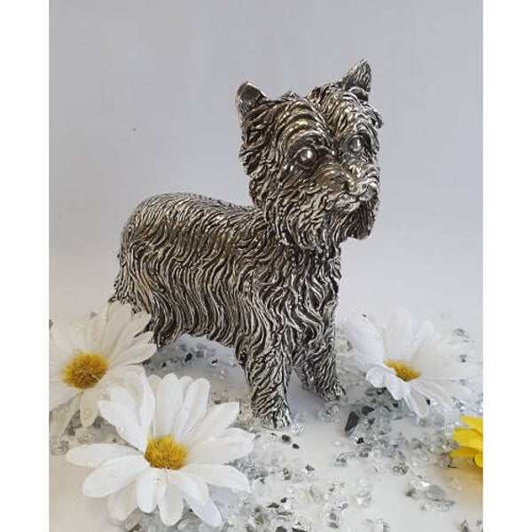 Yorkshire Terrier Groot