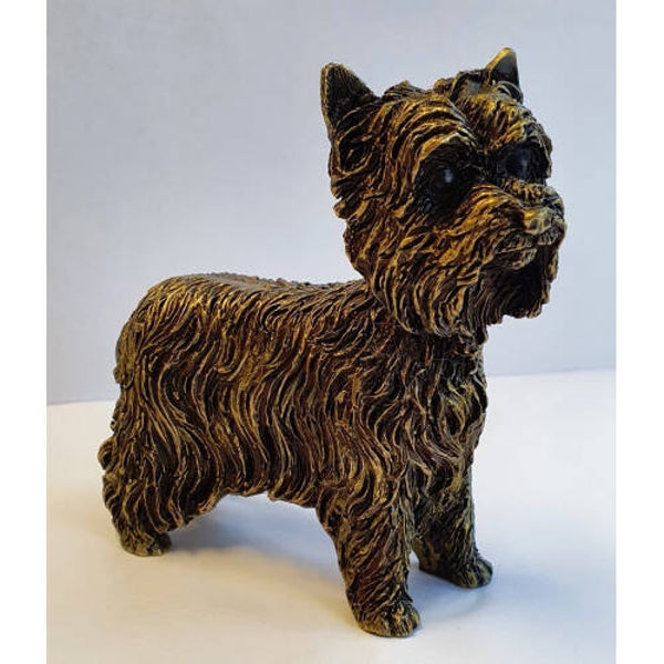Yorkshire terrier groot verbronsd