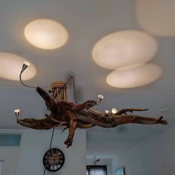 Woody Roots