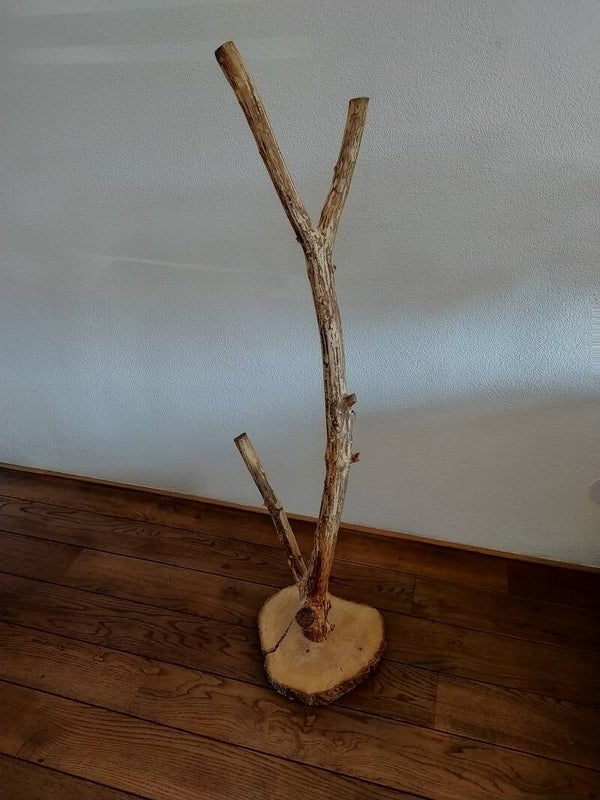 Woody decoratiestam op voet