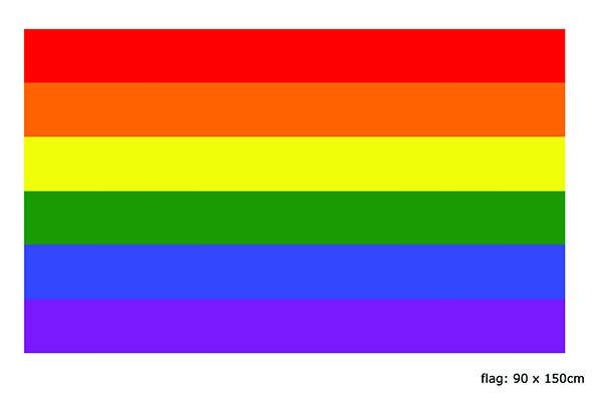 Vlag Regenboog 90x150 cm