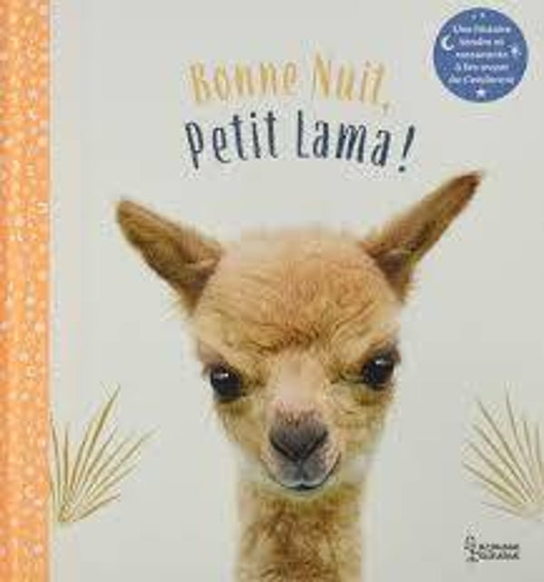 Bonne nuit, Petit Lama!