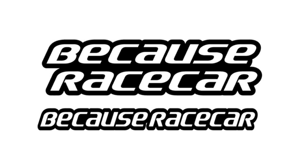 Because Racecar Aufkleber