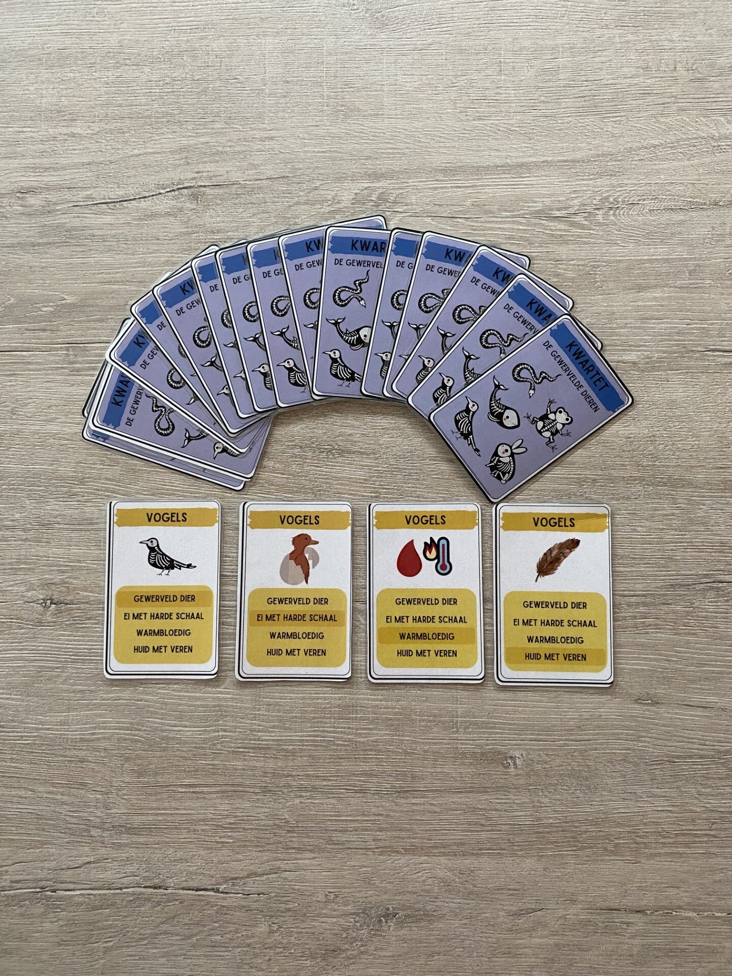 kwartet dierenrijk gewervelde dieren