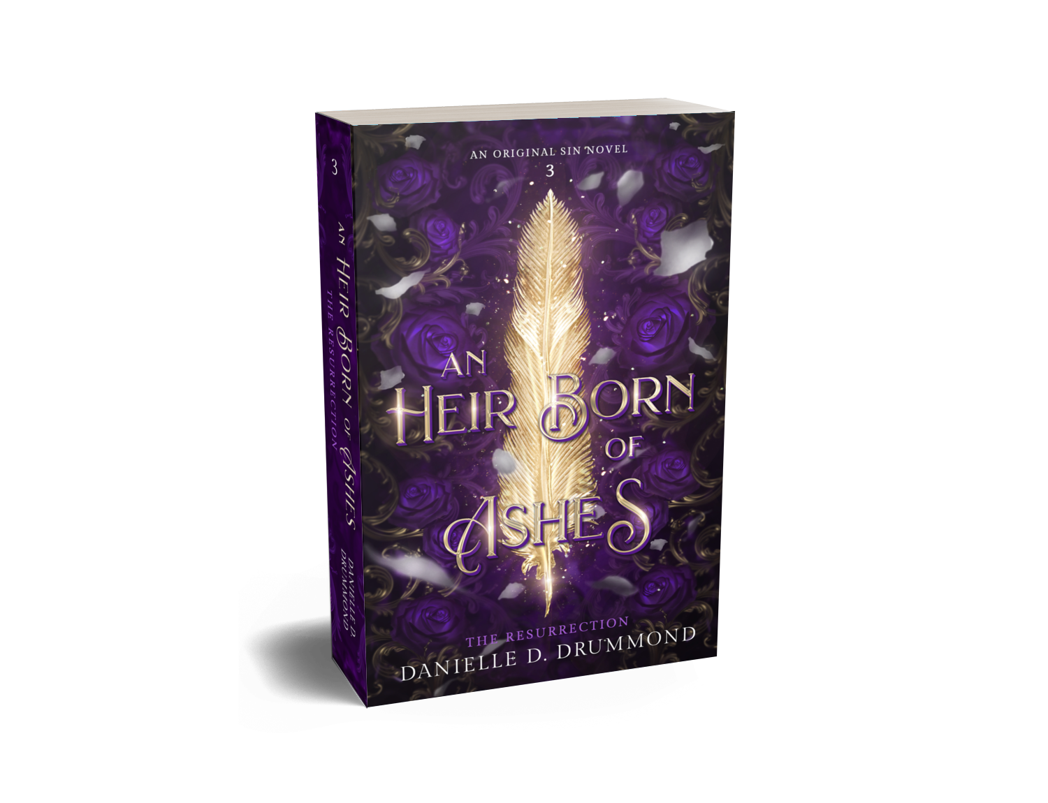 Book 3 blank cover