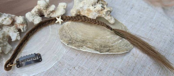 Solo clip-in Sea Star 🐚