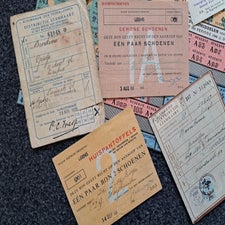4-standard-raposq.jpg