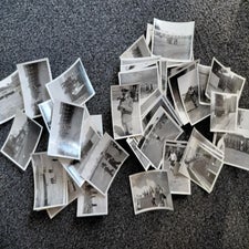 5-standard-029ms2.jpg