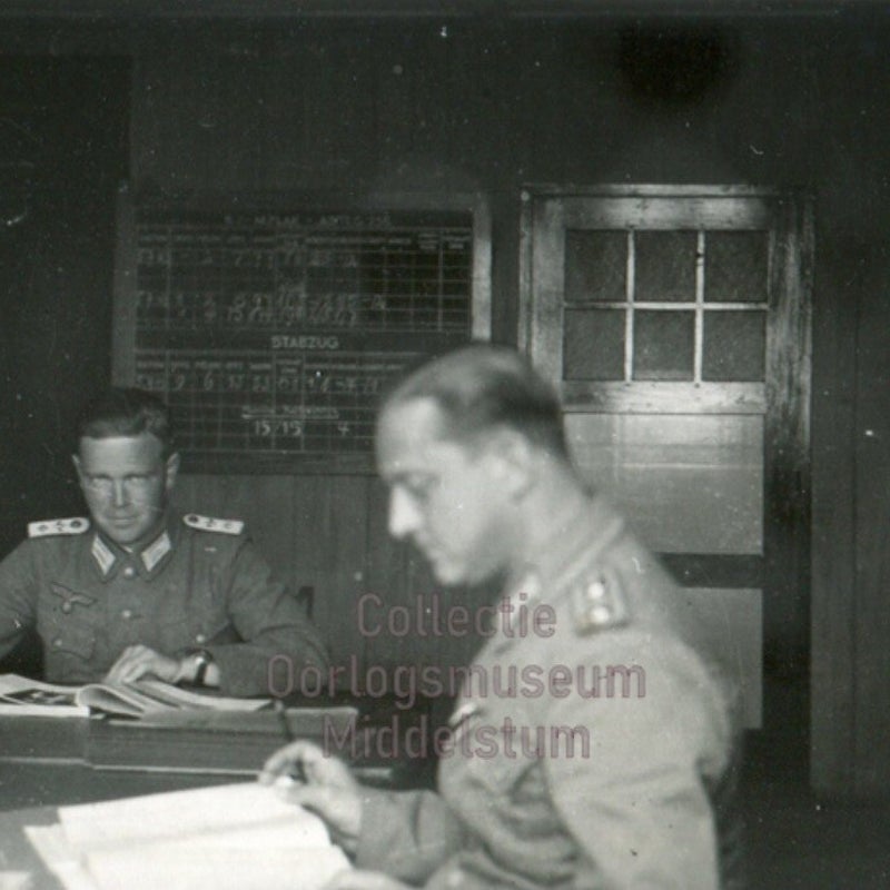 256-5.jpg