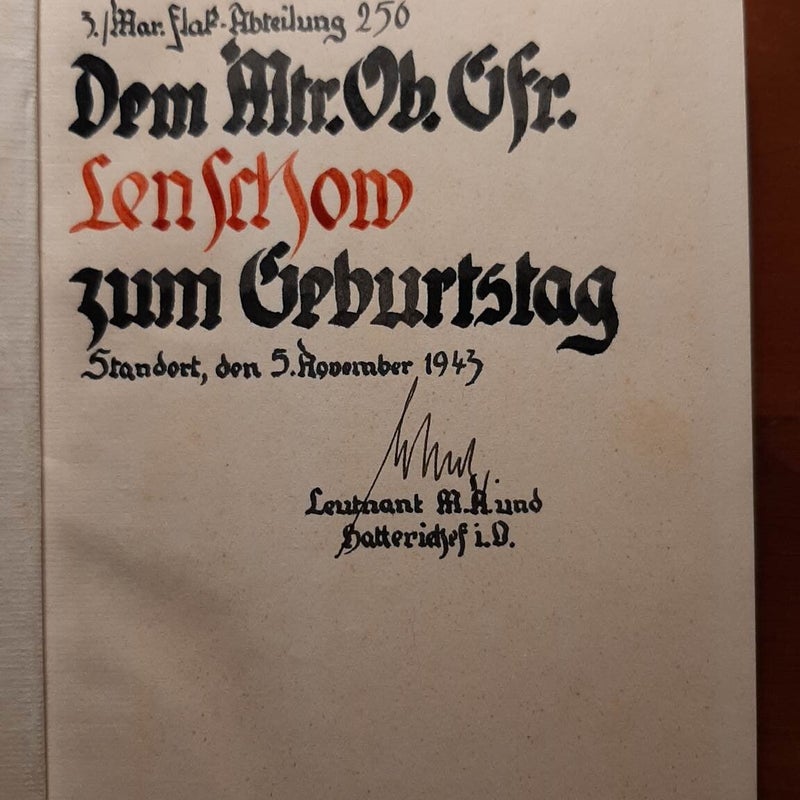 bd8.jpg