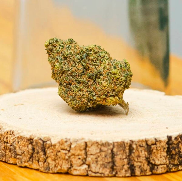 Gelato 5% HPE