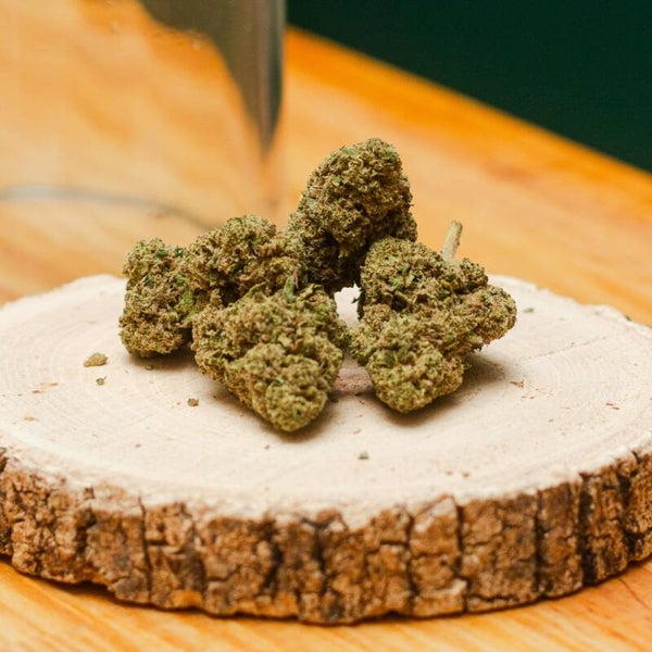 Candy Kush CBD Greenhouse