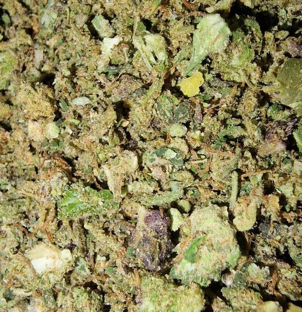 PREMIUM INDOOR SHAKE (TUTTI FRUTTI)