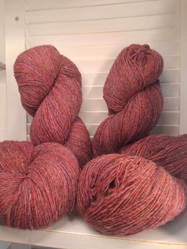 Dundaga Brombeere