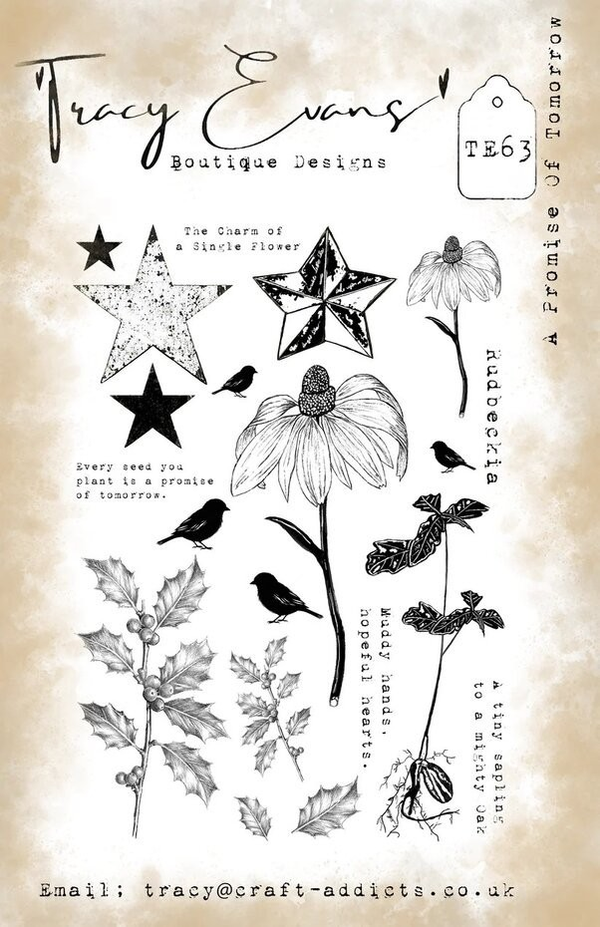A Promise Of Tomorrow A5 Stamp (TE063)