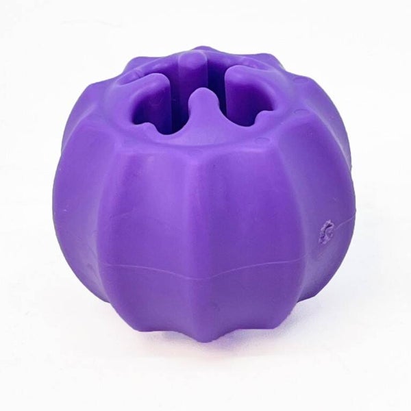 Sodapup | Cross Bones Treat Pocket Large Purple