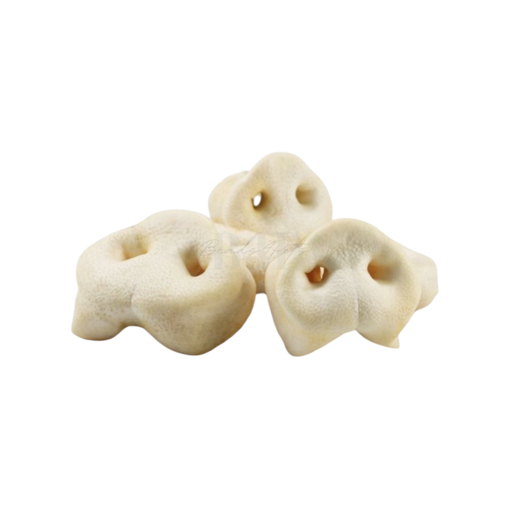 Beads4Pets | Honingneuzen - 5 Stuks