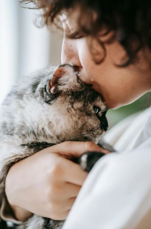 femme-embrasse-tete-chat-adulte