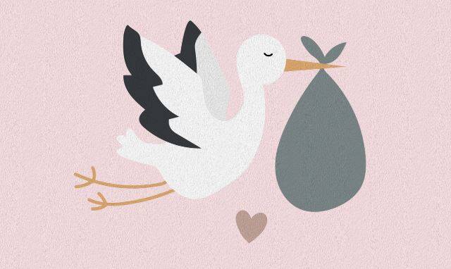 cigogne-vole-avec-sac-contenant-bebe
