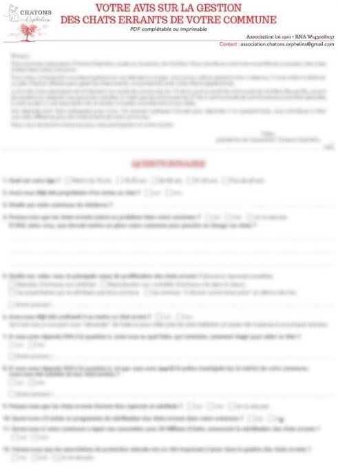 vue-premiere-page-sondage-chats-errants-honfleur