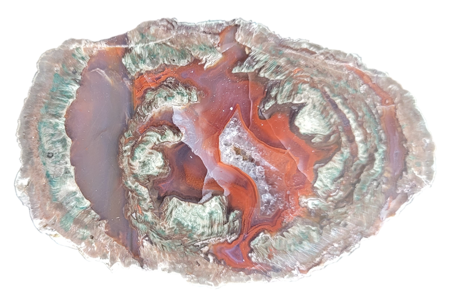 Lithophyse