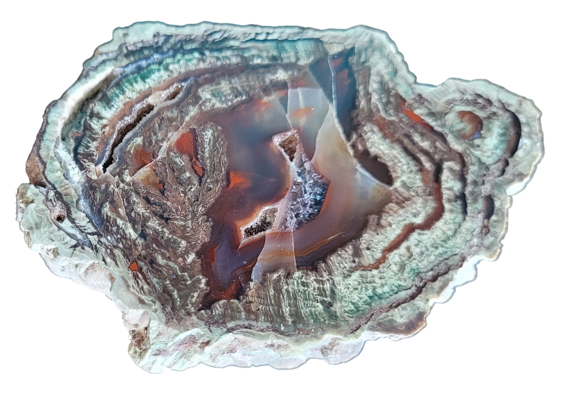 Lithophyse