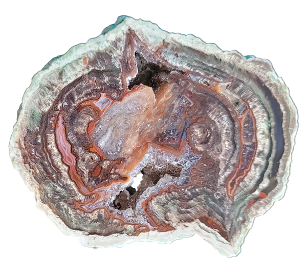 Lithophyse