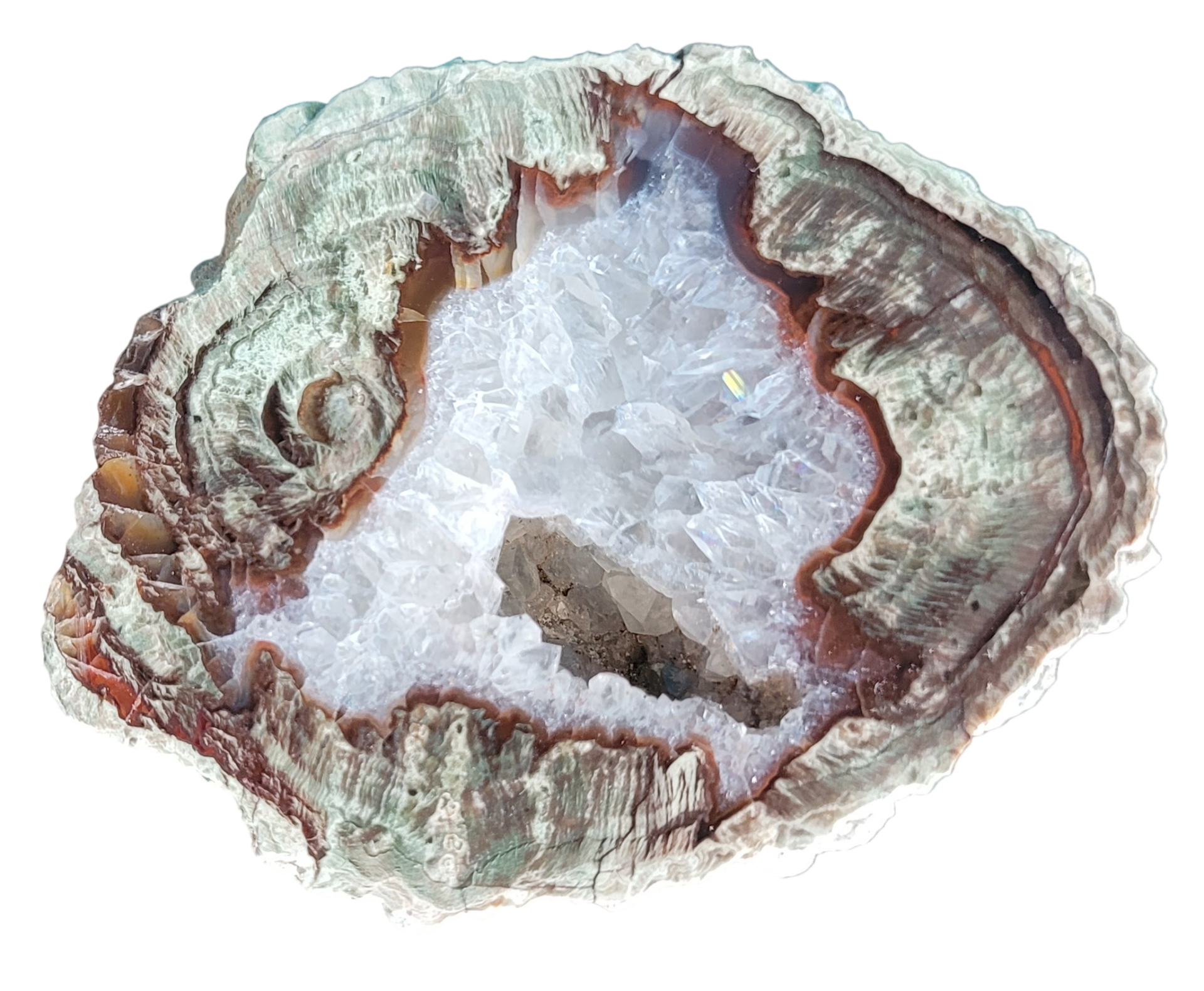 Lithophyse