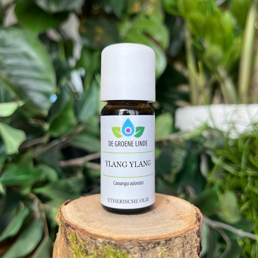 YLANG YLANG