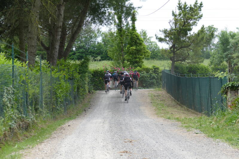 P1030982-1.jpg