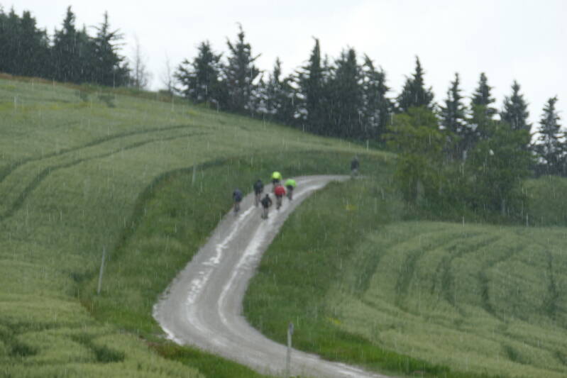 P1040106-1.jpg