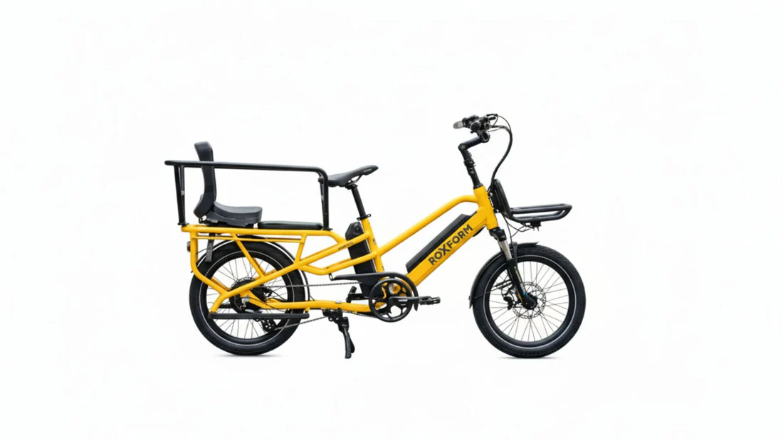 ROXFORM Cargo Bike Porto L Twin Battery