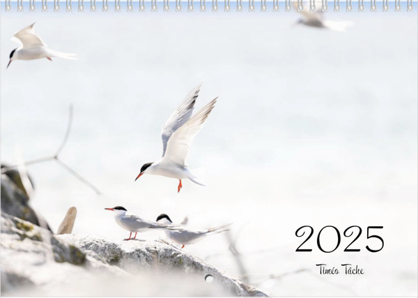 Calendrier 2025 (double A4)