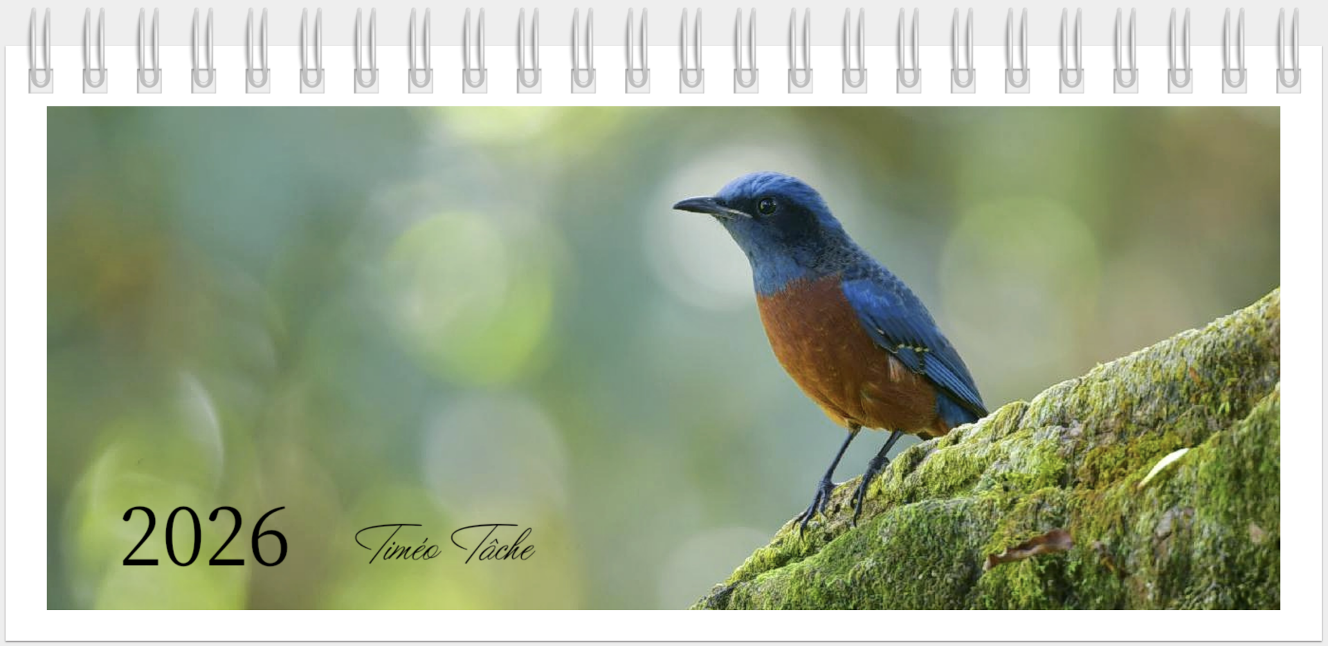 Calendrier 2026 bureau