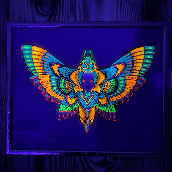 L’Envol Lumineux