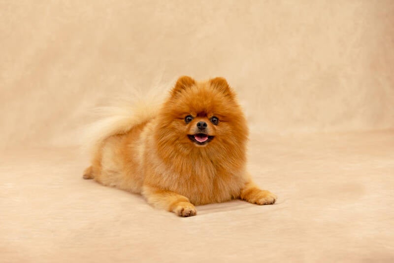6c7a4716-standard.jpg